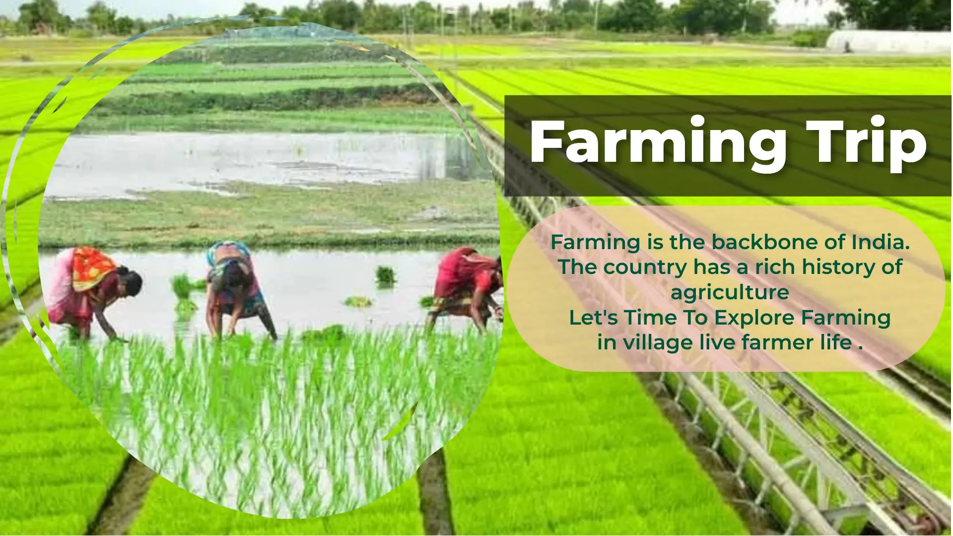 Farming-trip-boobook-trip